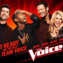 thevoice-gifs avatar