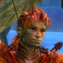 thorns-and-brambles avatar