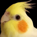 tiels avatar