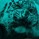 tigerscurse avatar