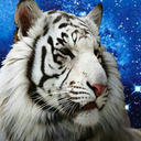 tigersinspace avatar