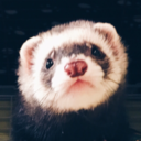 togotheferret avatar