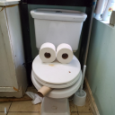 toiletdestoryer avatar