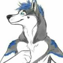 toomuchdingo avatar