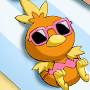 torchicken avatar