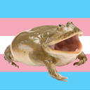 trans-rights-bb avatar