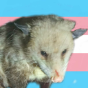 transmedopossum avatar