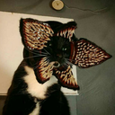 trastorno-invisible avatar