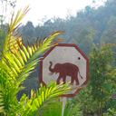 tropical-elephant-blog avatar