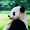 trupanda avatar