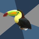 tumblraddictedtoucan avatar