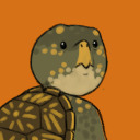 turtle-ika avatar