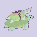 turtles-on-turts avatar