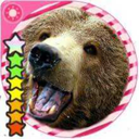 ugliestbear avatar