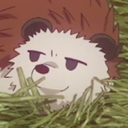 unamusedhedgehog avatar