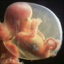 unbornrights-blog avatar