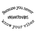 unchartedvibes avatar