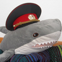 uniformshark avatar