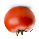 upsidedwntomato avatar