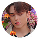 vernons avatar