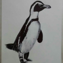 verylostpenguin avatar