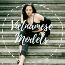 vietnamesemodels-blog avatar