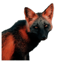 vulpescrux avatar