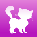 w5kittens-blog avatar