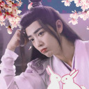 wangjibichen avatar