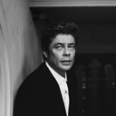 webeniciodeltoro avatar