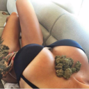 weed-andgirls avatar