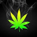 weedlover avatar