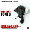 wessydejonesworld avatar