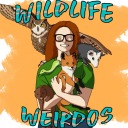 wildlife-weirdos avatar