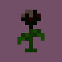 wither-rosee avatar