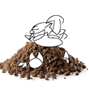 woah-its-dirt avatar