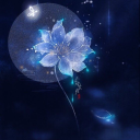 writersandroses avatar