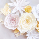 wthdoeswthmean avatar