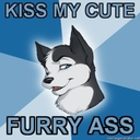 wuffeltier avatar