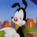 yakko-pics avatar