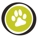 yummypetsglobal-blog avatar