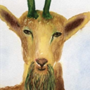 yuurei-goat avatar