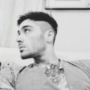 zaynwild avatar