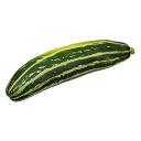 zucchinirpc avatar