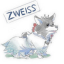 zweiss avatar